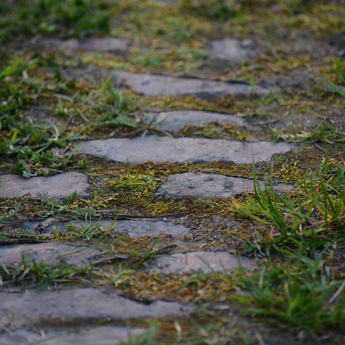 지역가입자 납부 방식