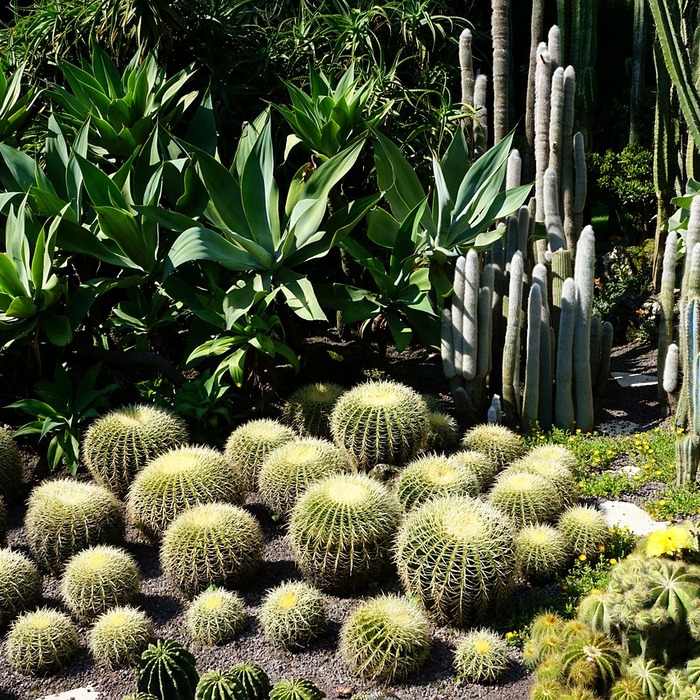 소상공인 지원금