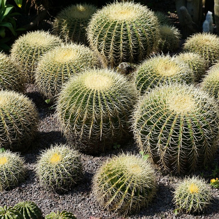 소상공인 지원금