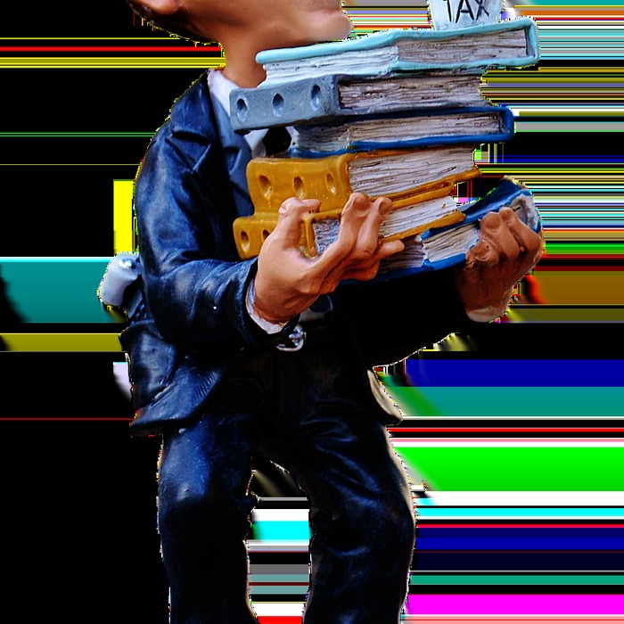 세금 신고 절차