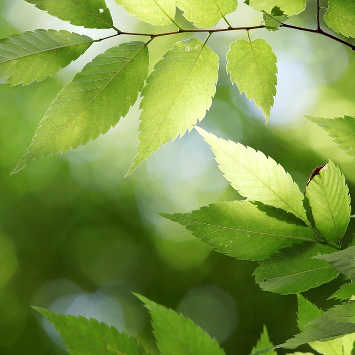 방역지원금 개요