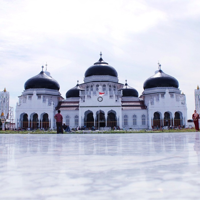 금융 서비스 이용