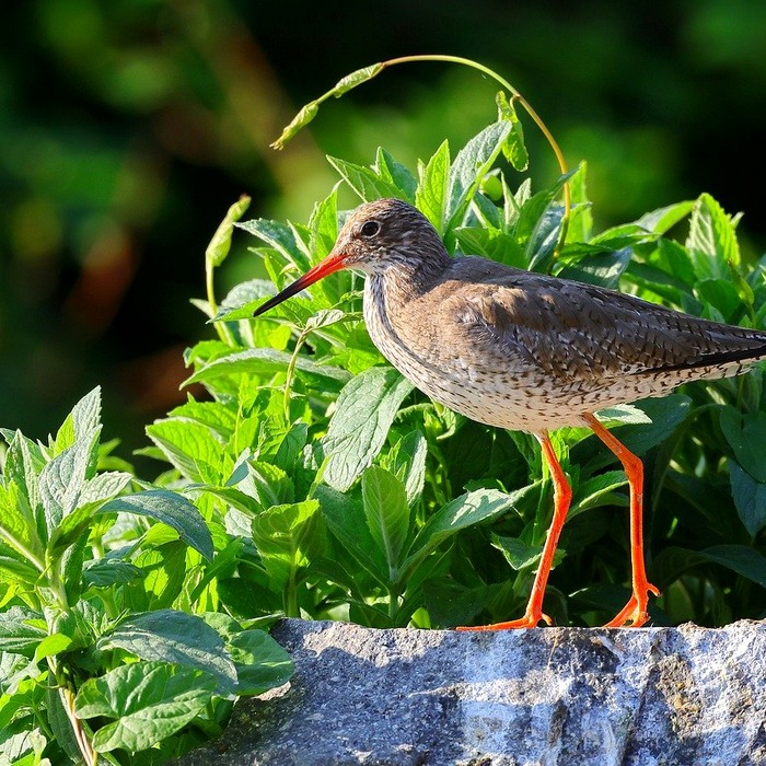 소득인정액 계산법