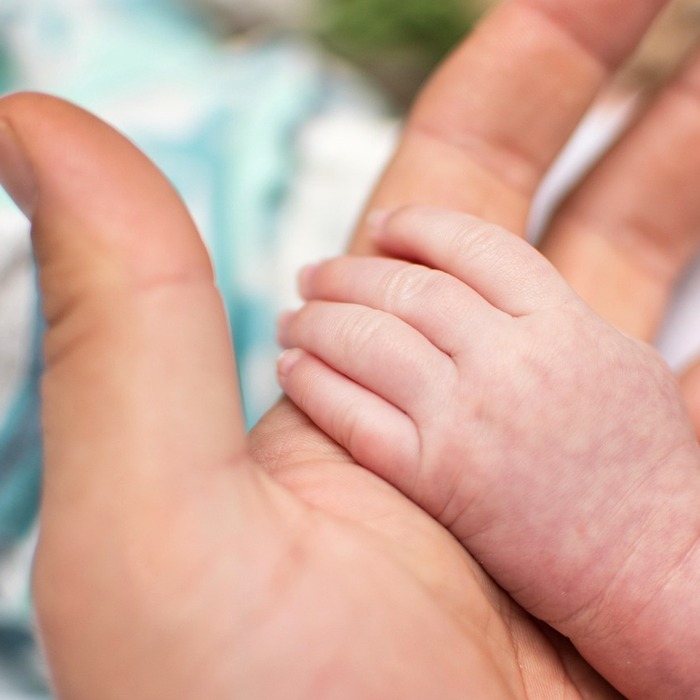 부모 육아 지원