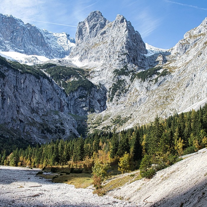 실손보험료 인상