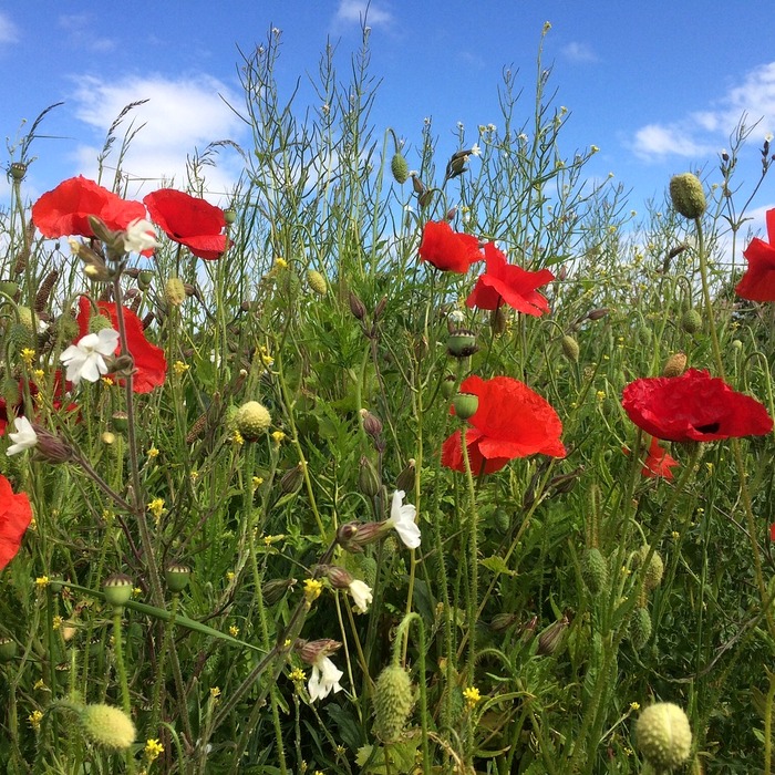 주택담보대출 신청