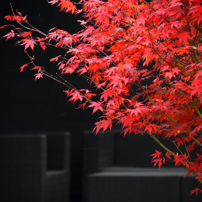 공항 라운지 혜택