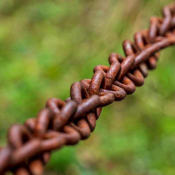 비체인 시세 현황
