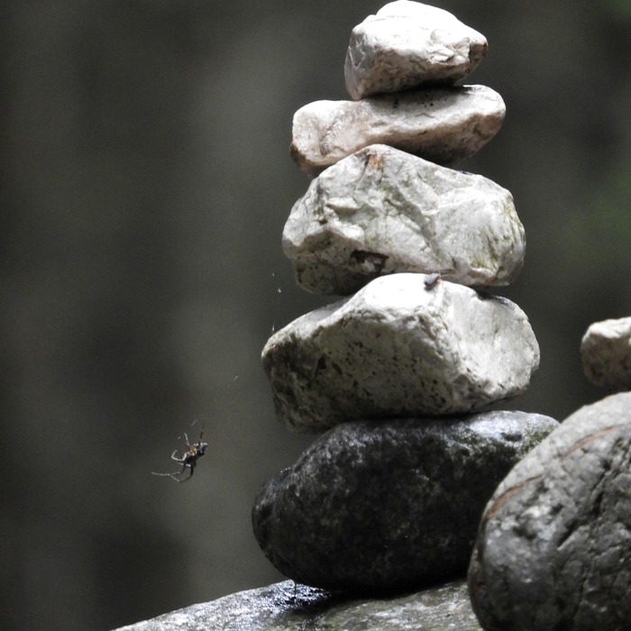 안정성 있는 은행