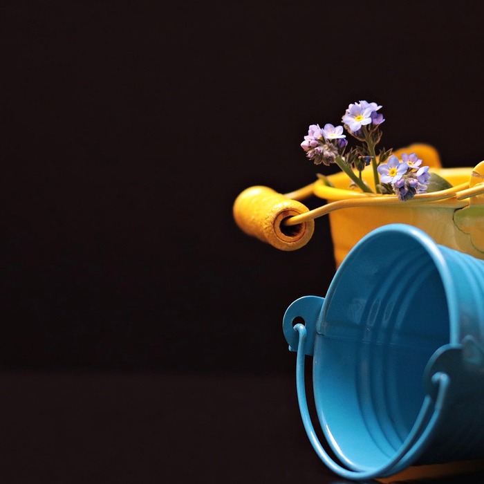 제로페이 바우처