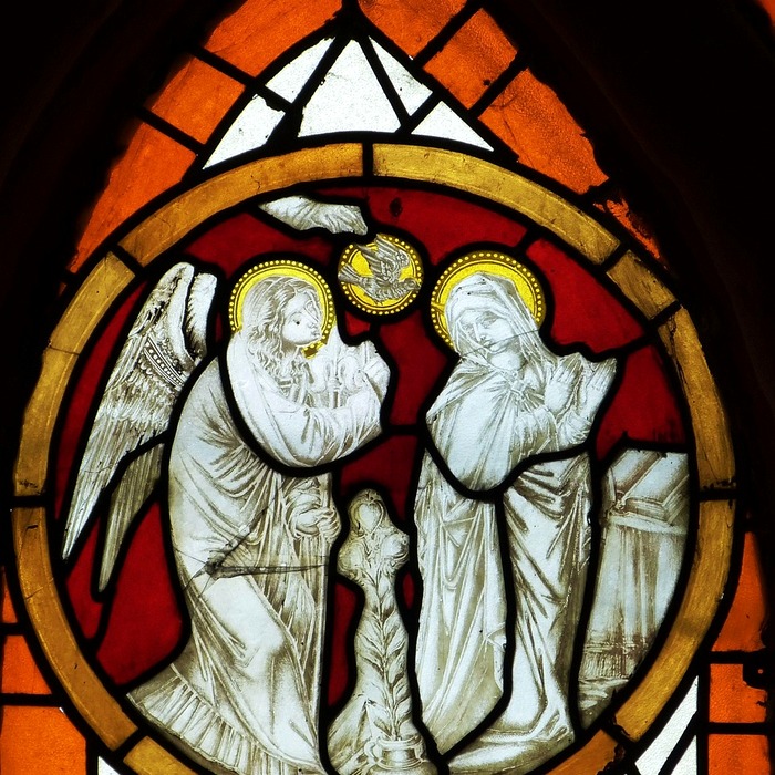 특별재난지역 선포