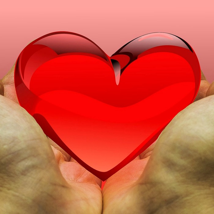 고향사랑 기부제