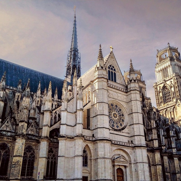 국민연금 가입자