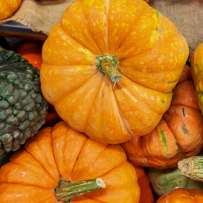 상속세 연부연납