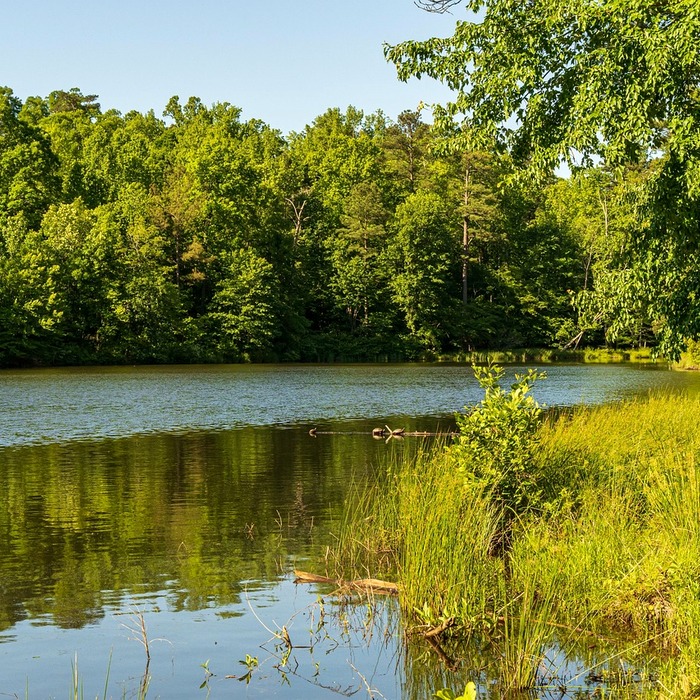케빈 듀란트 활약