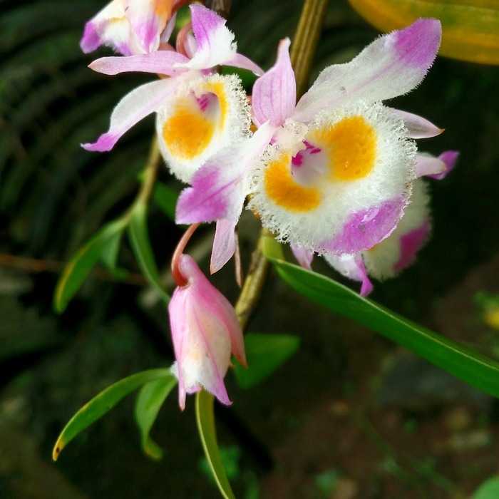 간소화 자료 제출