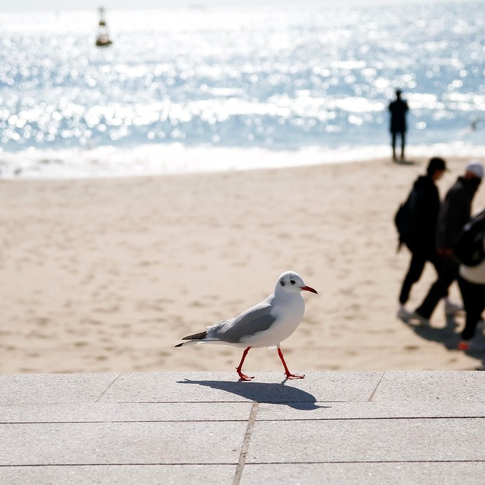 부산은행 영업시간