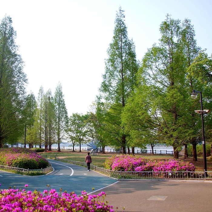 고양시 법률사무소