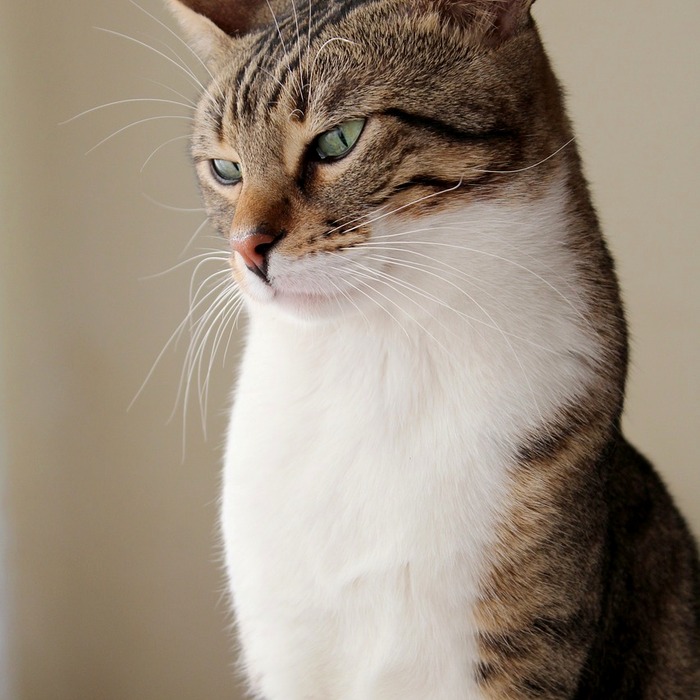 양천구 신정1동