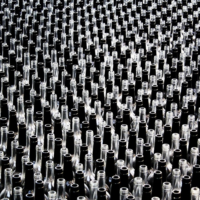 주주 친화 정책