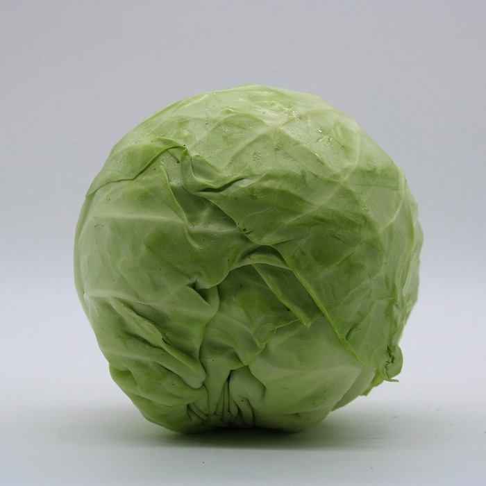 소송 대리 과정