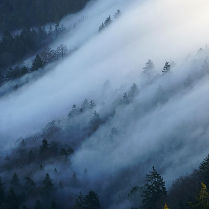 서초구 반포4동