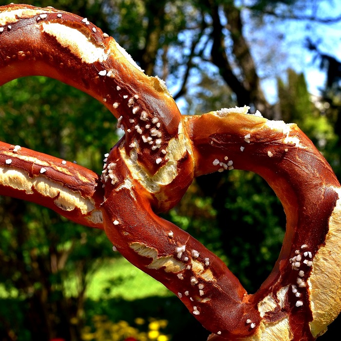 개인회생 전문 법무사