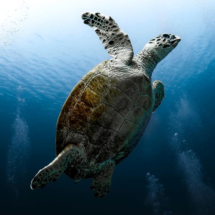 해양동 개인회생