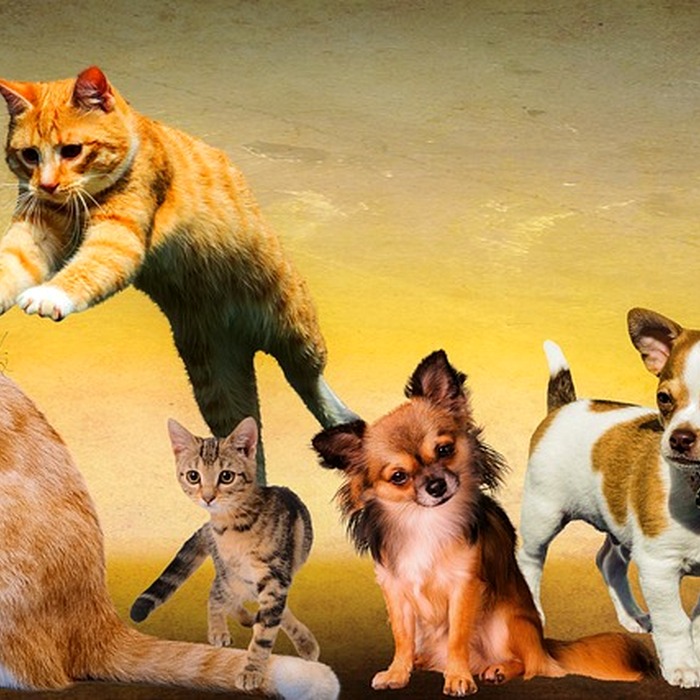 변제 계획안 작성