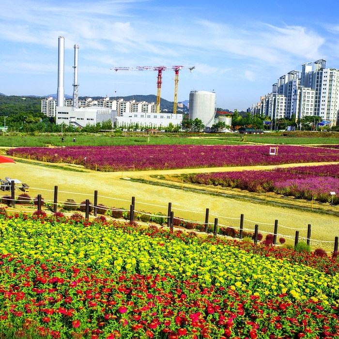 남양주 법률사무소