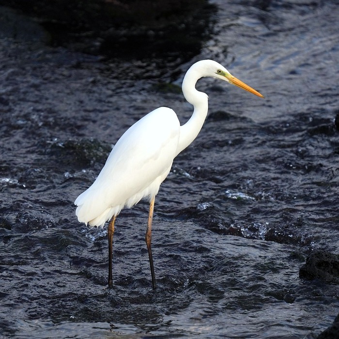 제주도 법률사무소
