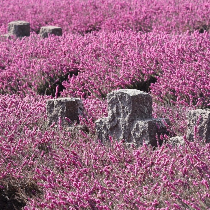 대전 법무사 사무소