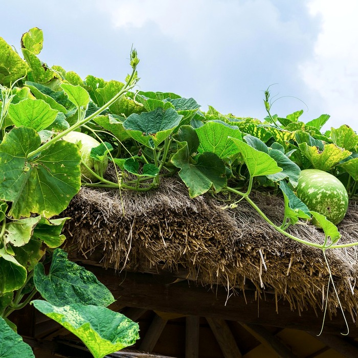 송파구 법률 상담