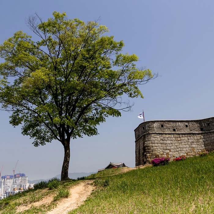 수원 권선구 법무사