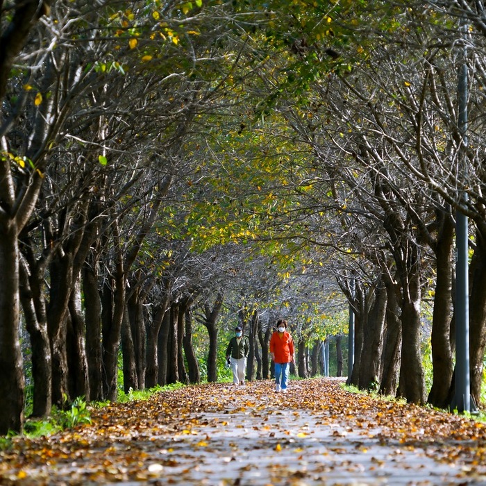 제주시 이도2동