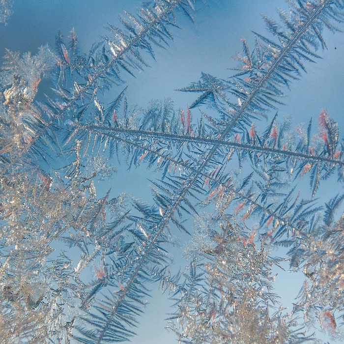 면책 결정 과정
