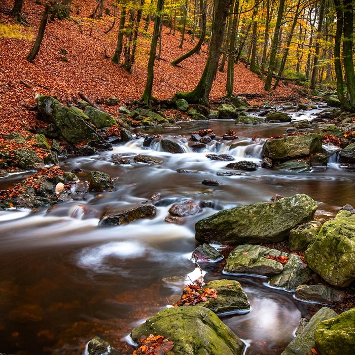 채무 탕감 과정