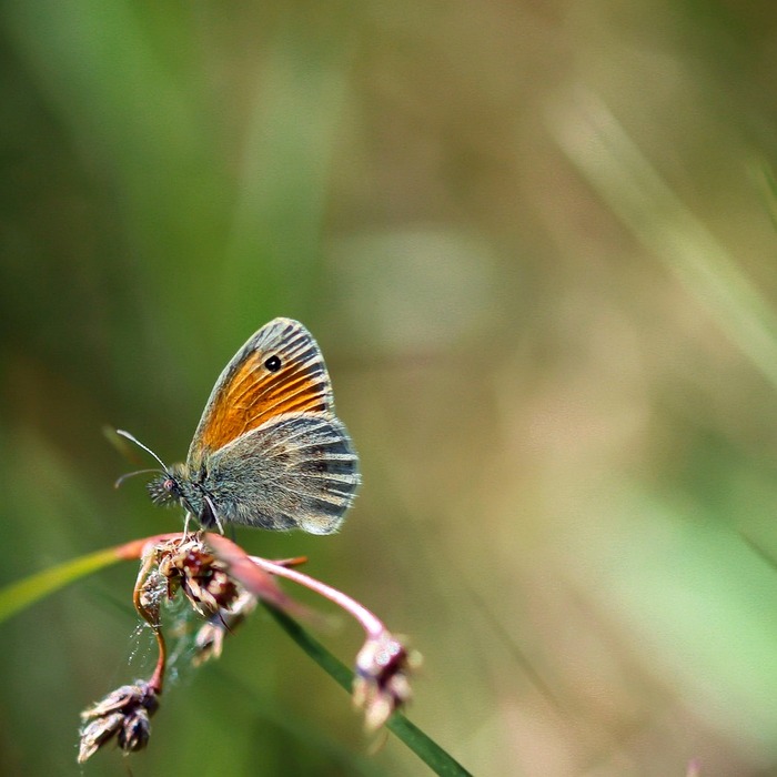 강남구 삼성2동