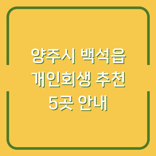 양주시 백석읍 개인회생 추천 5곳 안내