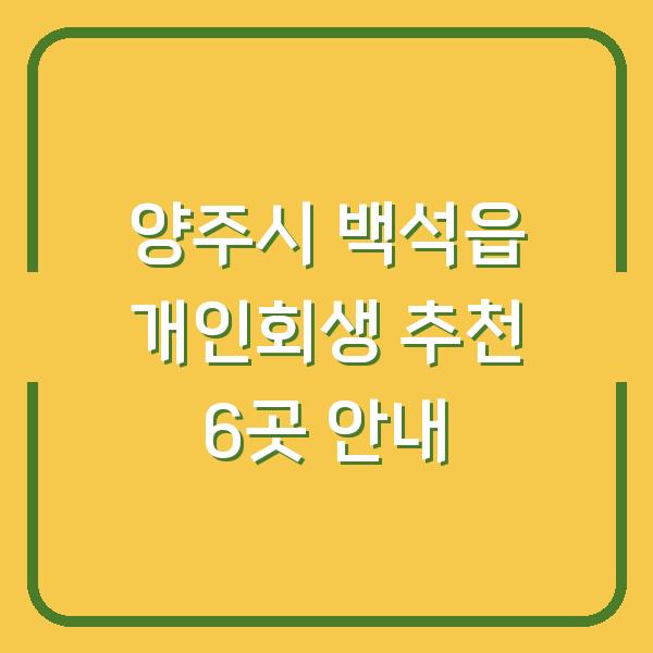 양주시 백석읍 개인회생 추천 6곳 안내