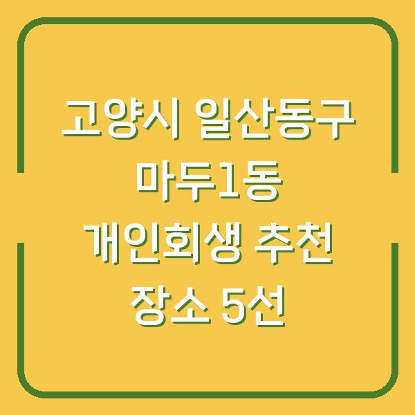 고양시 일산동구 마두1동 개인회생 추천 장소 5선