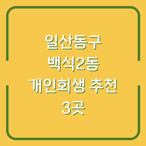 일산동구 백석2동 개인회생 추천 3곳