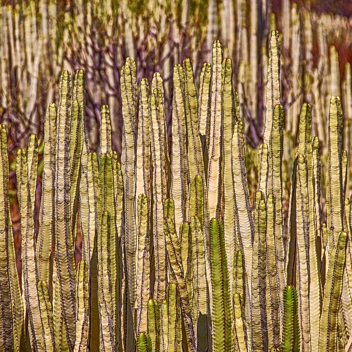 원주시 대출업체