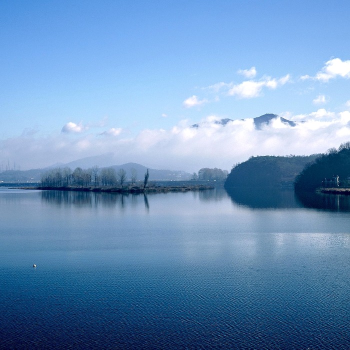 충주 농협 지점