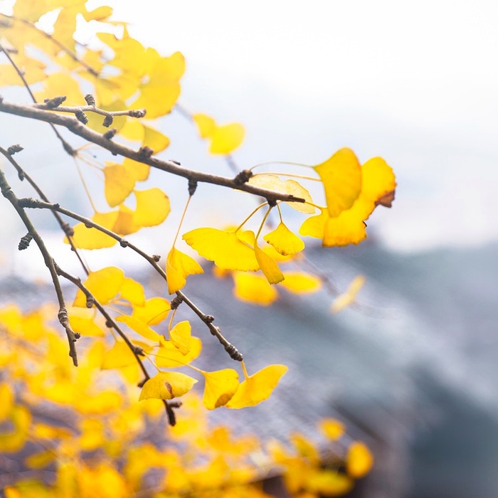 신한은행 송파지점