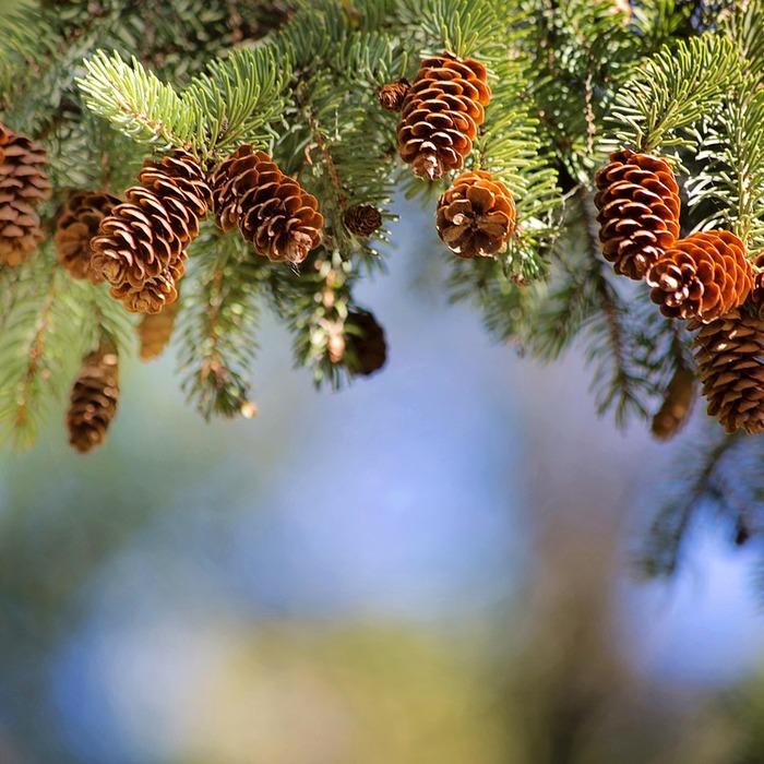 대구은행 봉덕지점
