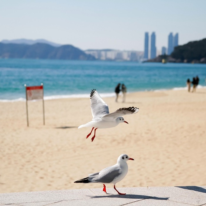 해운대구 금융센터