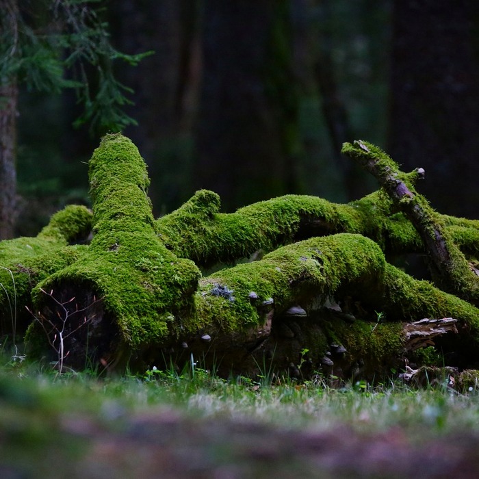 KB국민은행 지점