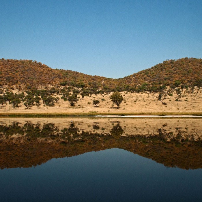 유성구 대출 기관