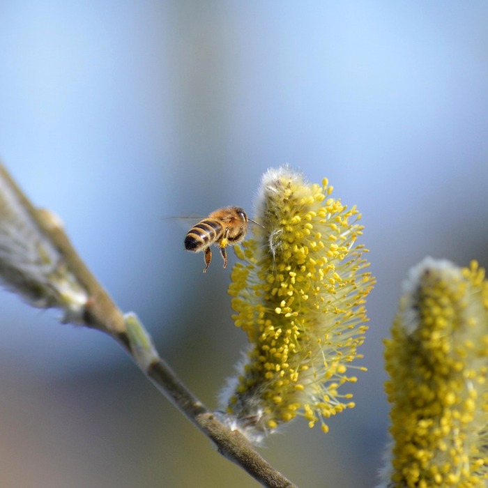 신한은행 노은지점